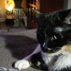 Meet your Posher, Lynn